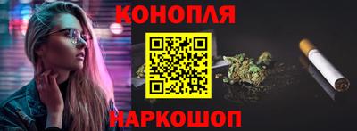мдпв Бийск