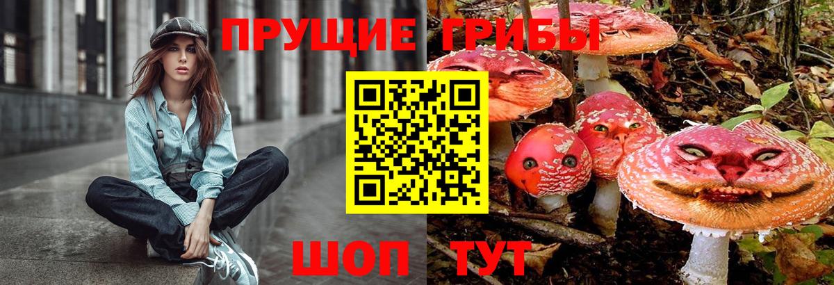 Псилоцибиновые грибы прущие грибы  Вход с VPN  Галлюциногенные грибы Cubensis  Кандалакша 