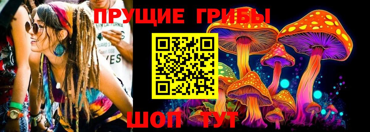 Галлюциногенные грибы мицелий Кандалакша